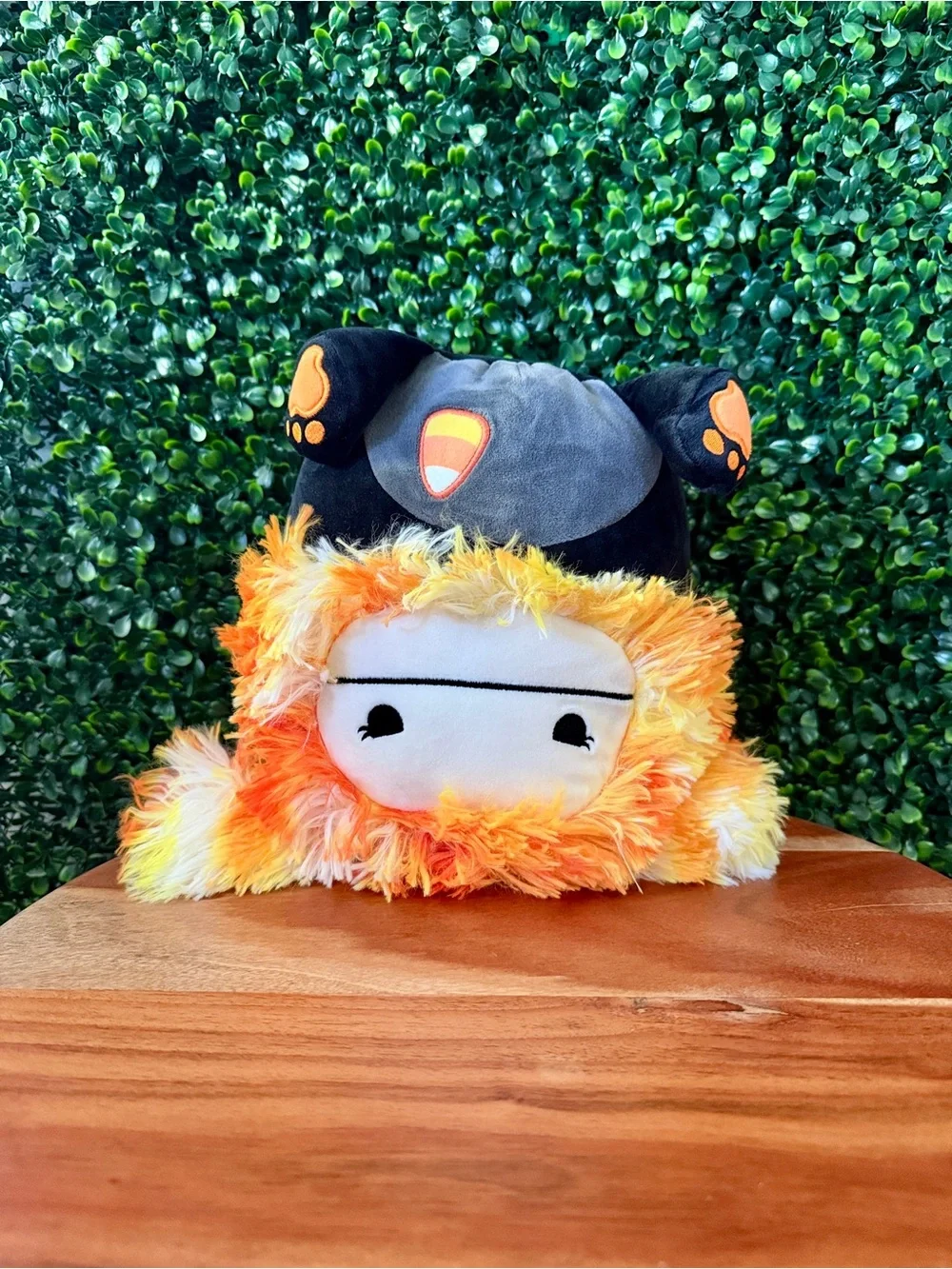 Squishmallows brand new